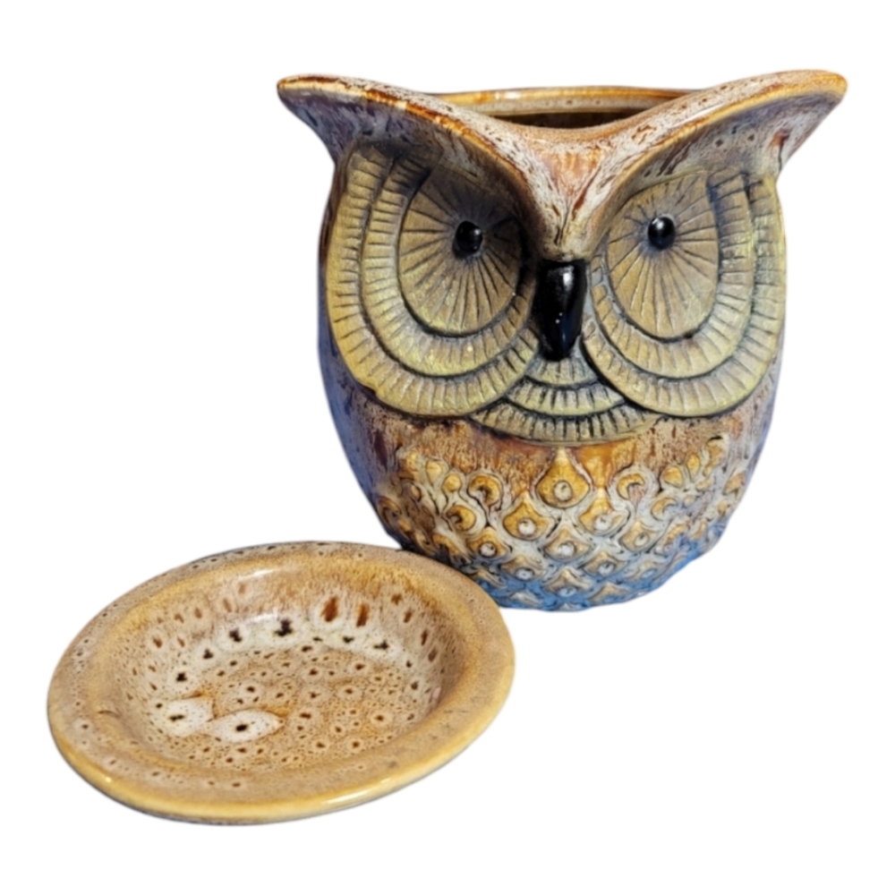 Intertek Owl fragrance oil or wax melt ceramic electric bulb heated base/dish